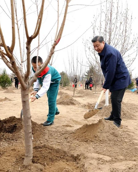 Sowing Seeds For A Greener China